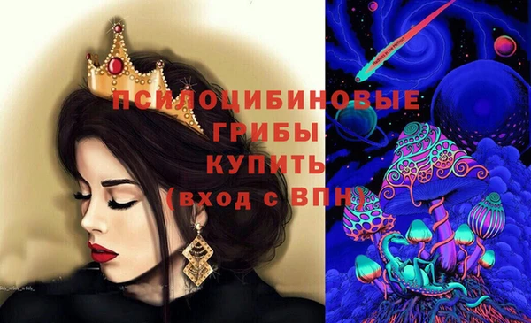 ПСИЛОЦИБИНОВЫЕ ГРИБЫ Балабаново
