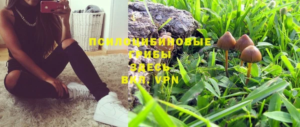 ПСИЛОЦИБИНОВЫЕ ГРИБЫ Балабаново