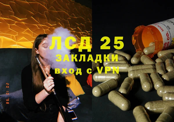ПСИЛОЦИБИНОВЫЕ ГРИБЫ Балабаново