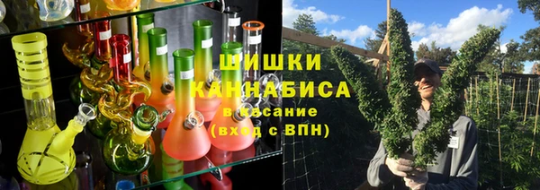 ПСИЛОЦИБИНОВЫЕ ГРИБЫ Балабаново
