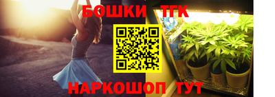гидра Дубна