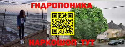 гидра Дубна