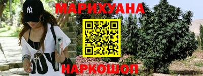 гидра Дубна
