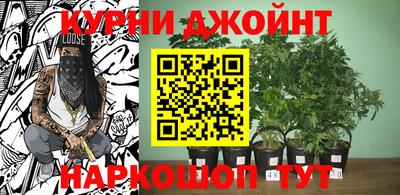 ALPHA PVP Аргун