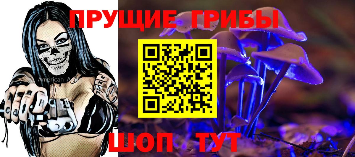 Галлюциногенные грибы прущие грибы  Карабулак 