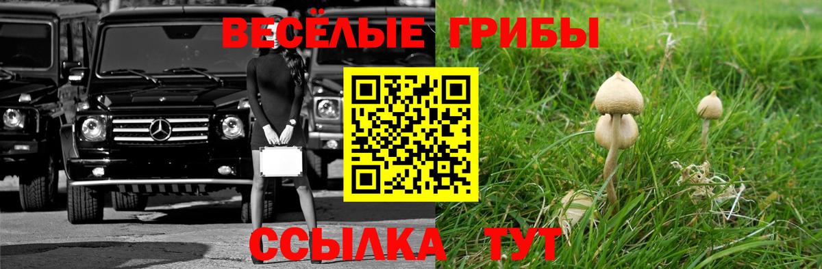 Галлюциногенные грибы прущие грибы  Вход с VPN  Галлюциногенные грибы Psilocybe  продажа наркотиков  Карабулак 